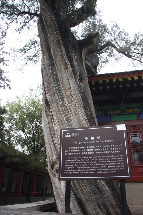 照片 287.jpg