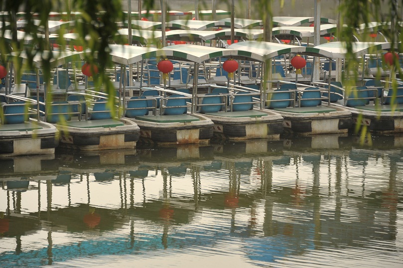 DSC_7242.JPG