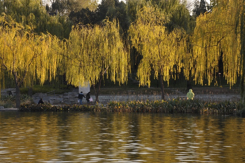 DSC_8608.JPG