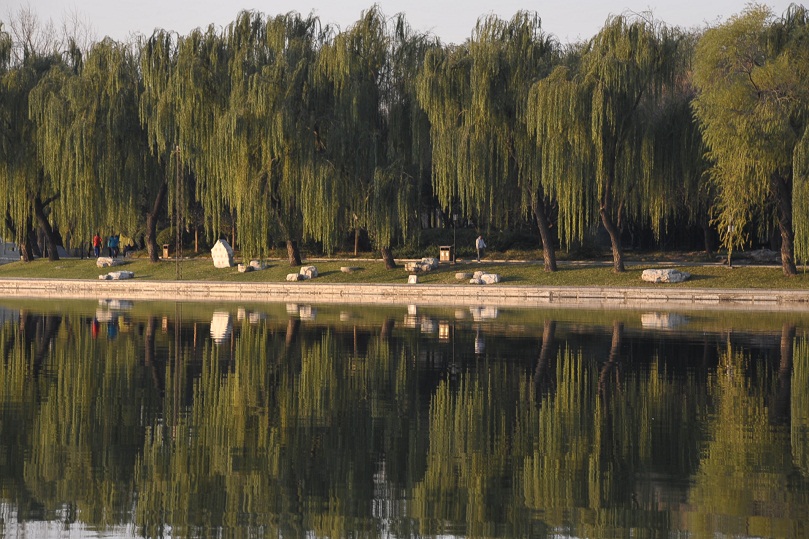 DSC_8713.JPG