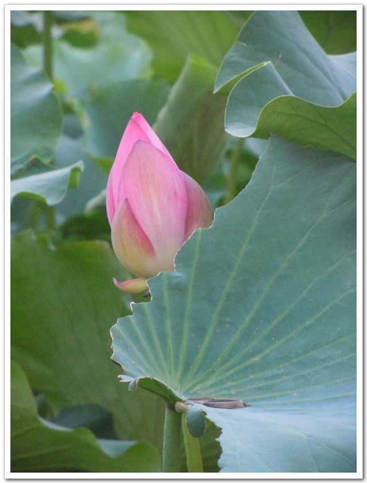 照片 066.jpg