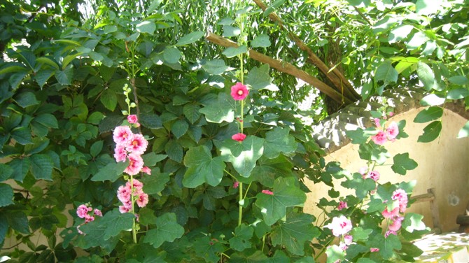 照片 034.jpg