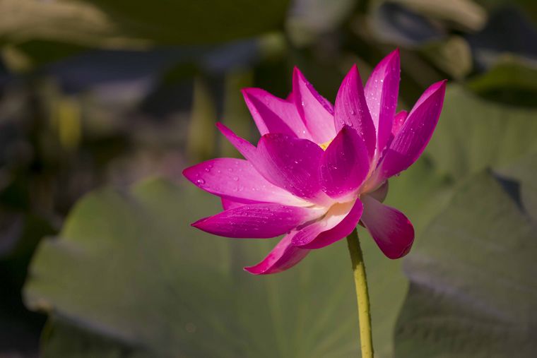 20110616-_MG_4947-1.jpg