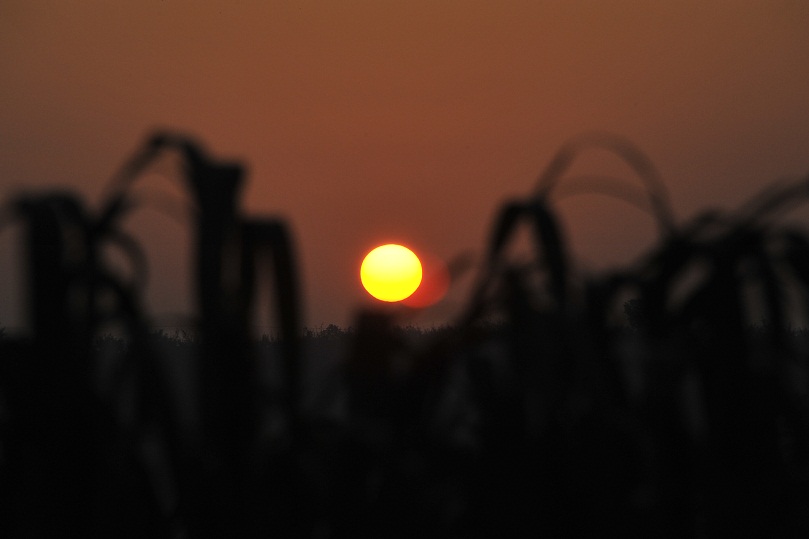 DSC_4901.JPG
