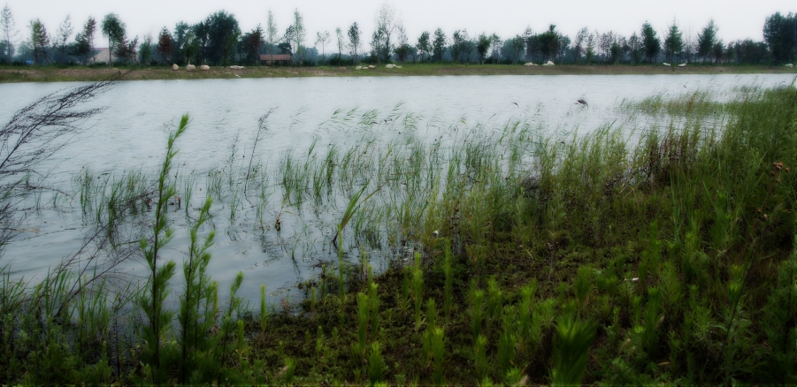 DSCF0016.jpg