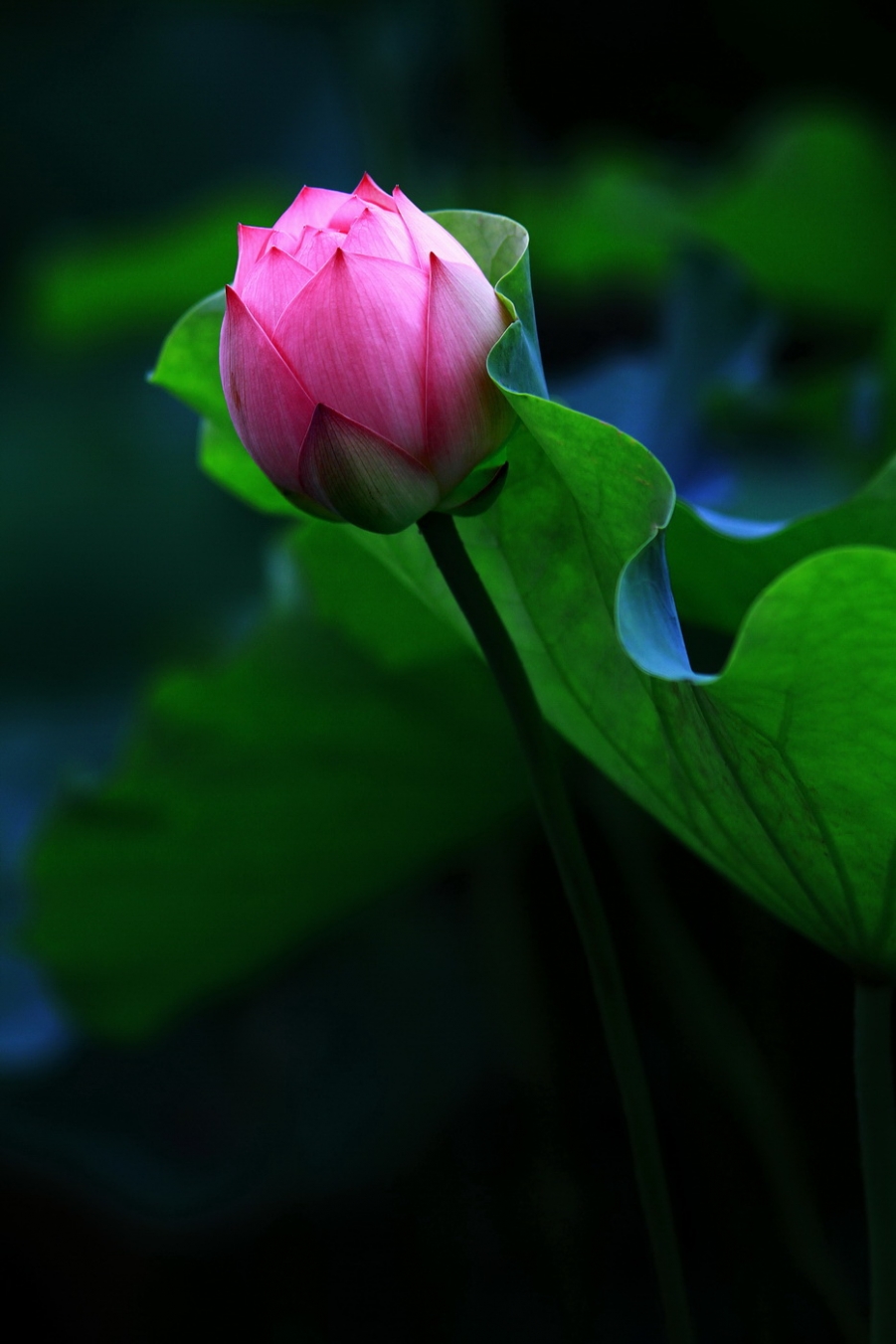 复件 IMG_2416.jpg