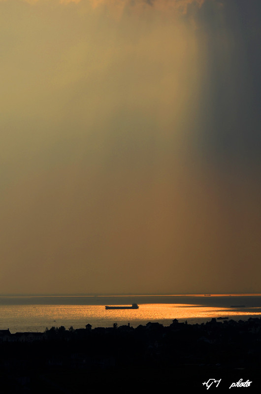 DSC_0782.jpg
