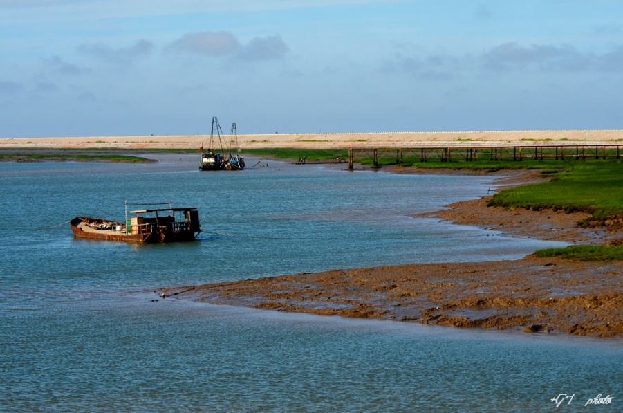 DSC_0873.jpg