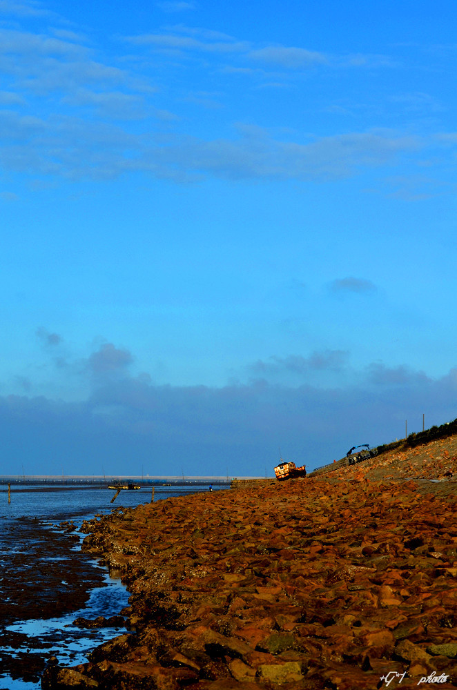 DSC_0881.jpg