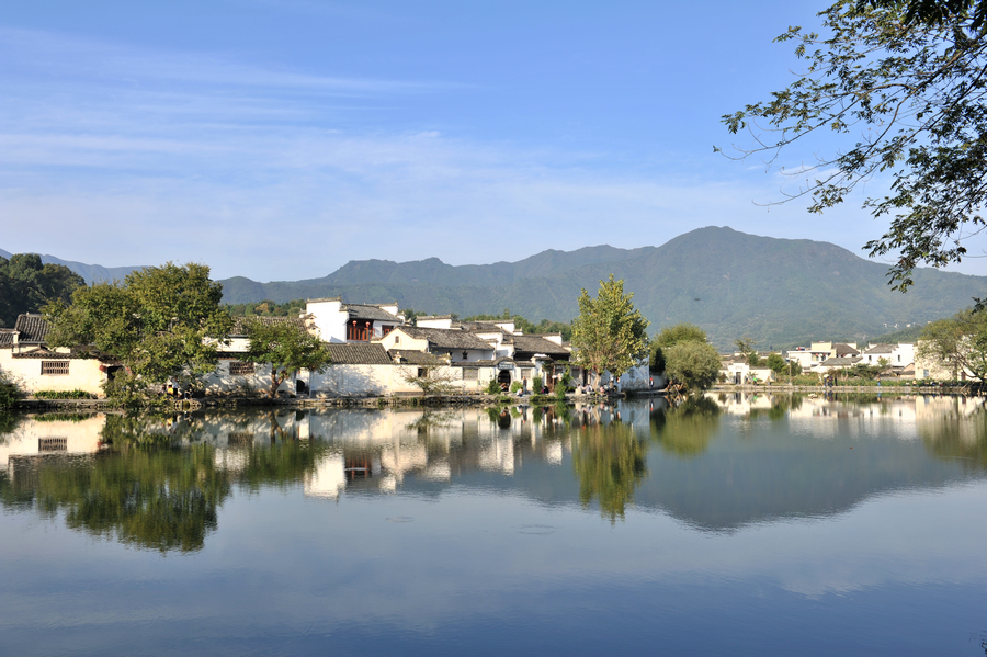 cDSC_2039.jpg