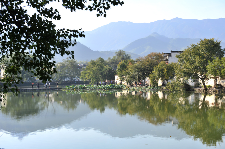 cDSC_2035.jpg