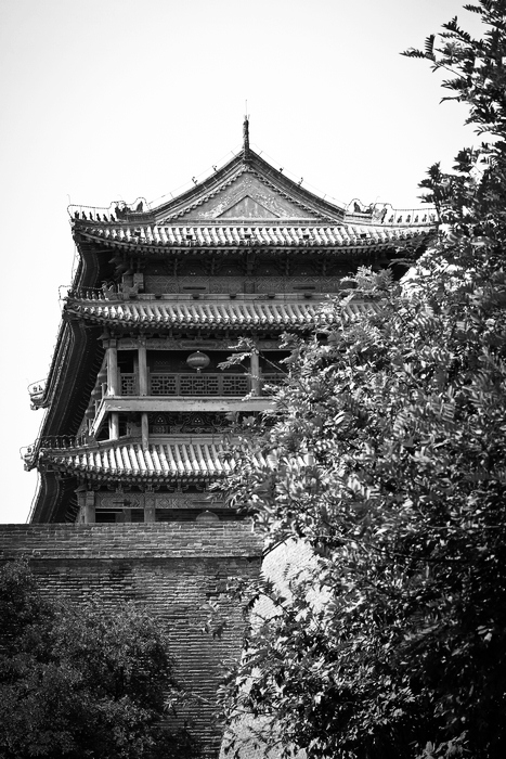 _MG_2672.jpg