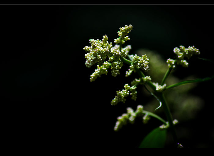 _MG_3514.jpg