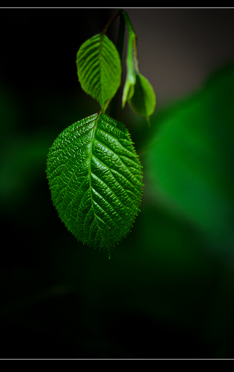 _MG_3573.jpg