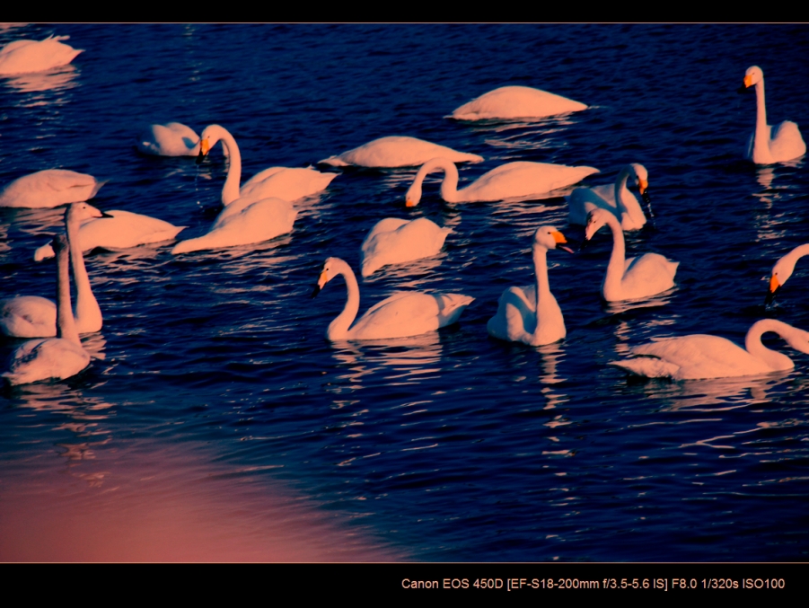 IMG_2868b.jpg