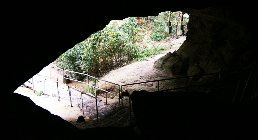 DSCF4518d.jpg