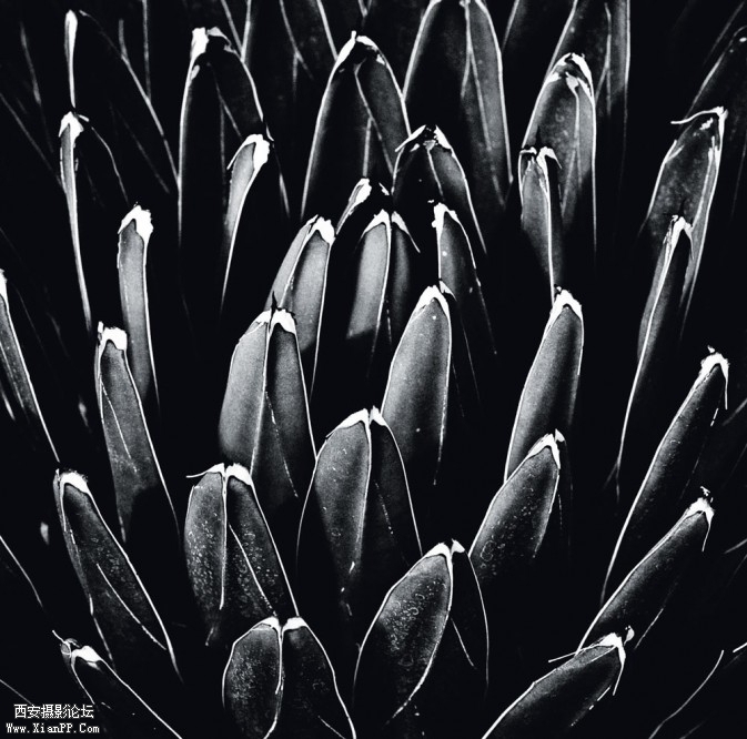 p080-1-673x666.jpg