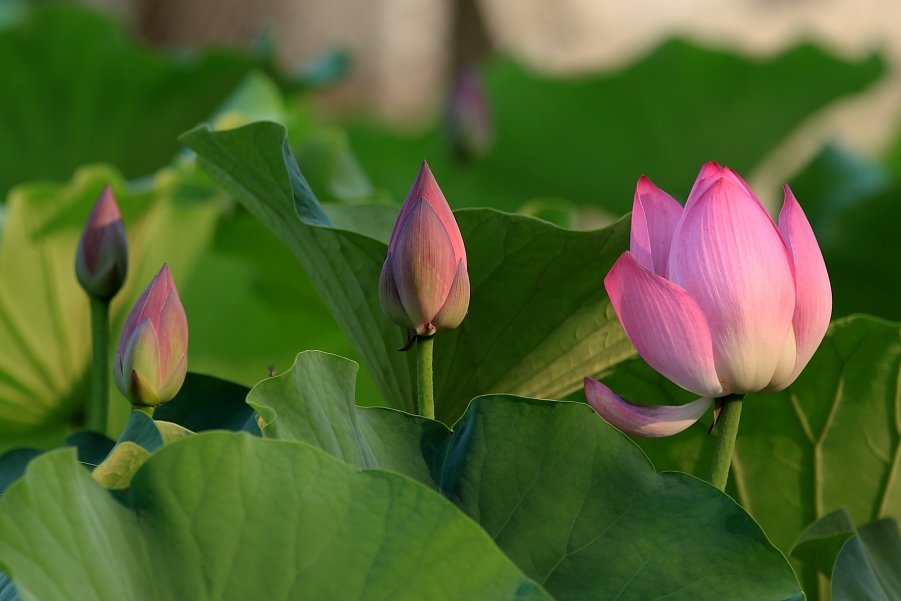 small_IMG_5818.JPG