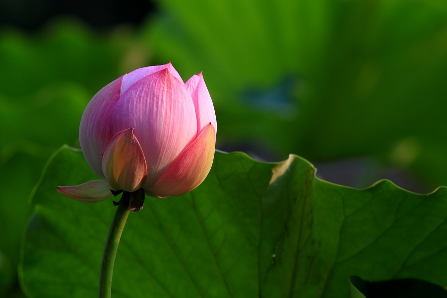 small_IMG_5872.JPG
