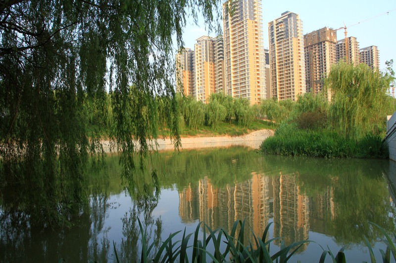 黄山旅游照片 1116.jpg