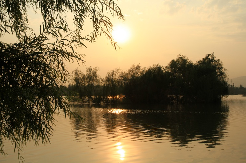 黄山旅游照片 1123.jpg