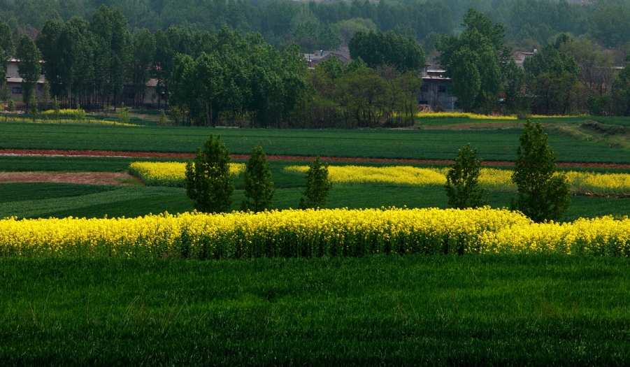 _MG_5303.jpg
