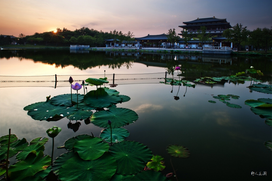 “_LEE2098”为智能对象-1.jpg