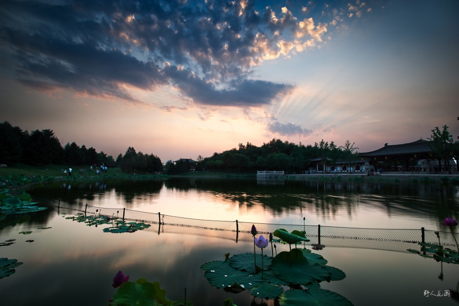 “_LEE2171”为智能对象-1.jpg