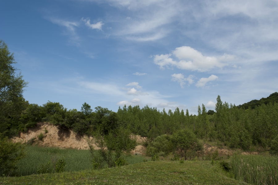 DSC_8282.JPG