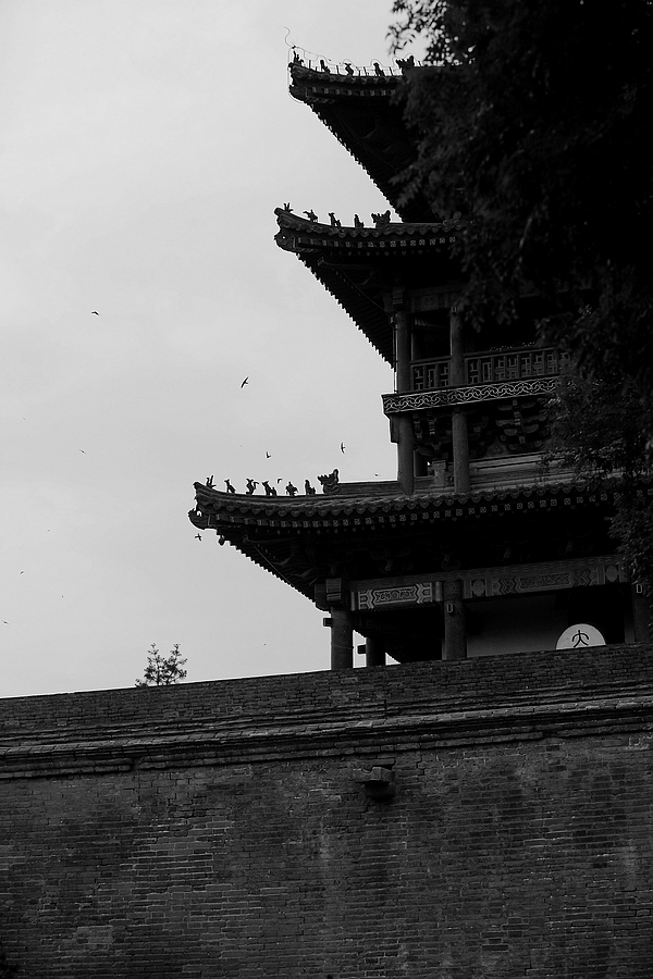_MG_7065.jpg