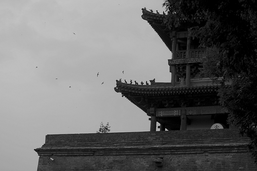 _MG_7067.jpg