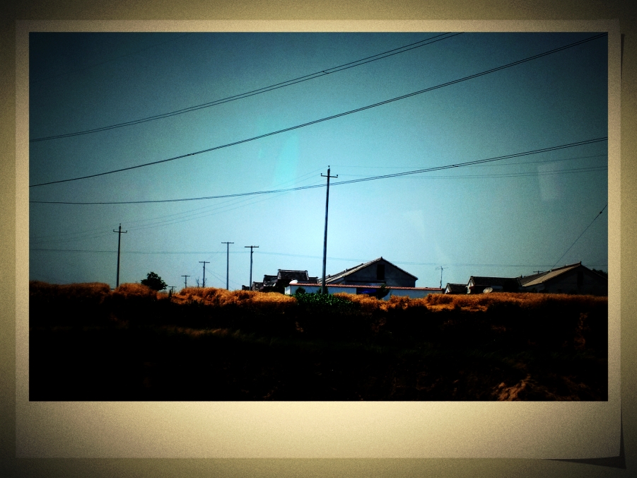 DSCF7798.JPG