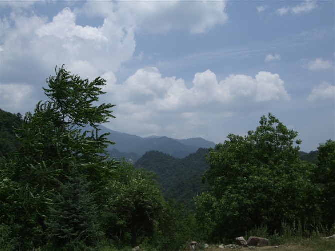 照片 150.jpg