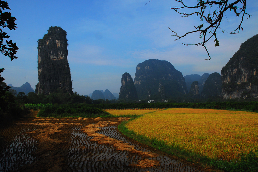 DSC_0070.JPG