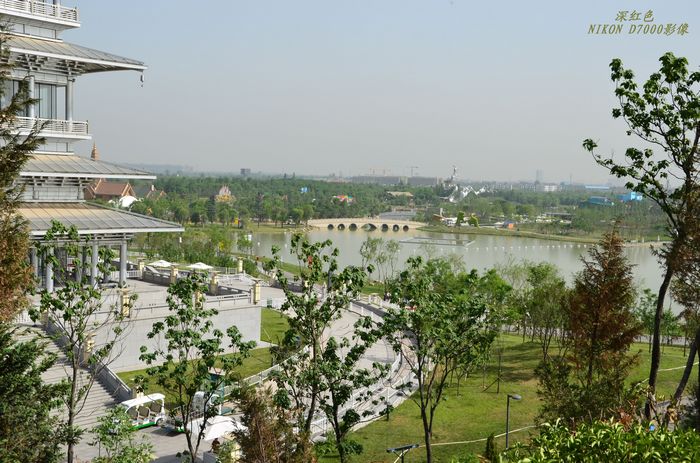 nEO_IMG_DSC_0709.jpg
