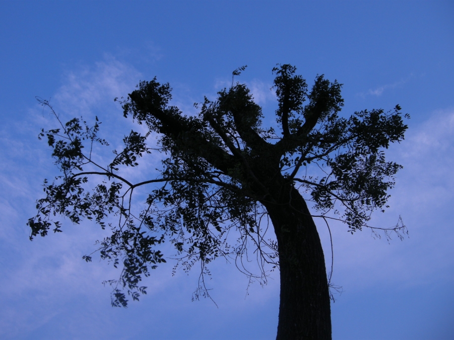 DSCN8157.JPG