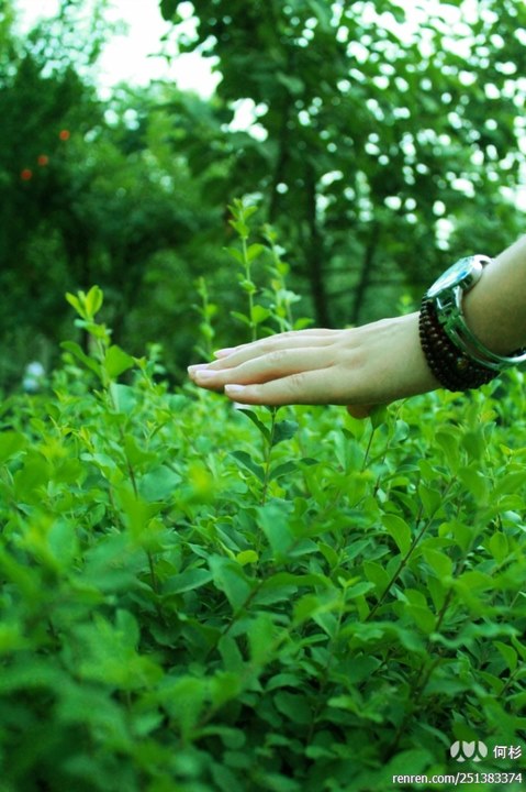 large_8aJX_44ea00002e8d125f.jpg