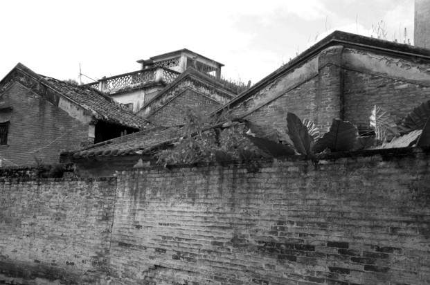 未命名.jpg