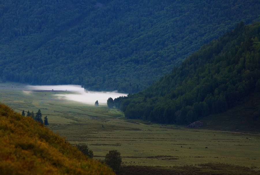 _MG_0210.JPG