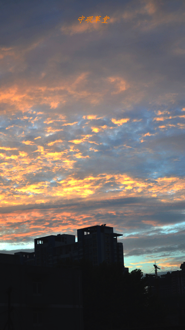 DSC_0018.jpg