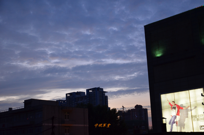 DSC_0024.jpg
