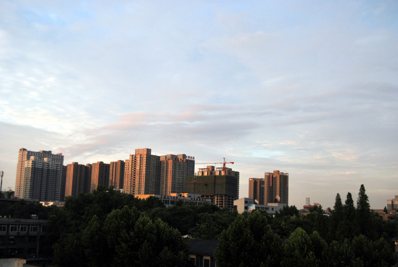 DSC_4906.jpg