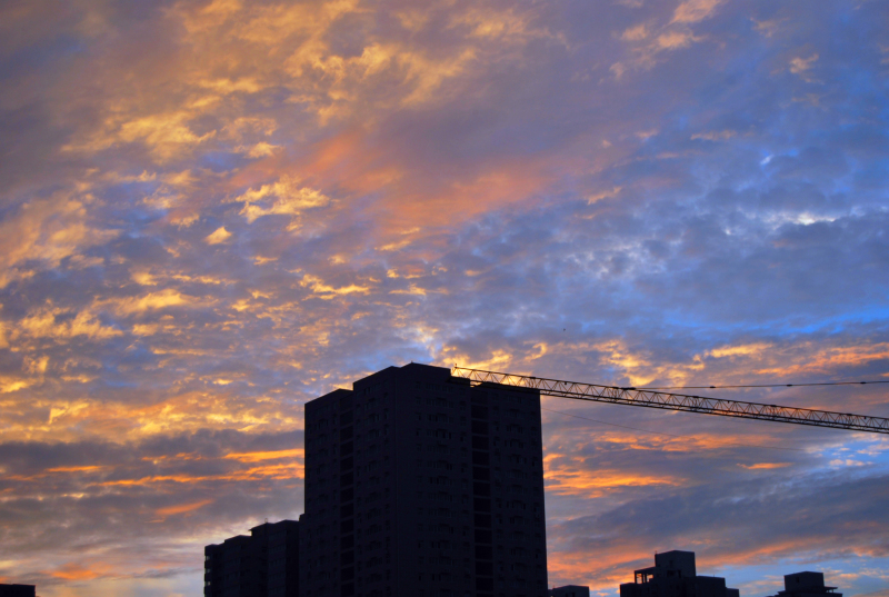 DSC_4913.jpg