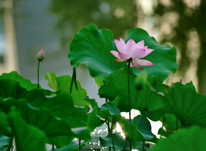 DSC_8569.jpg