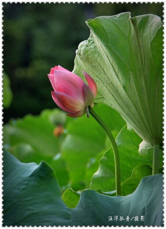 未命名1.4.jpg