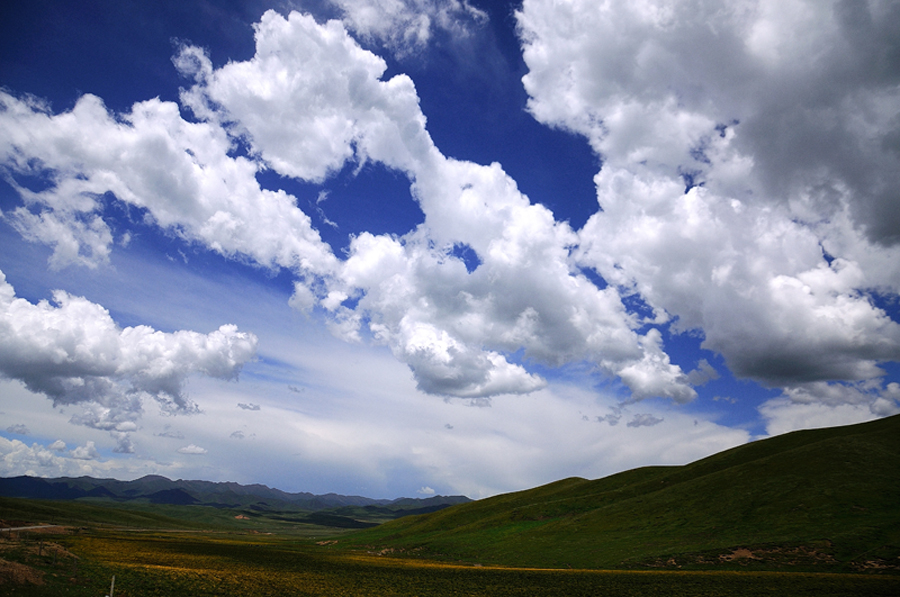 DSC_0396_900.jpg