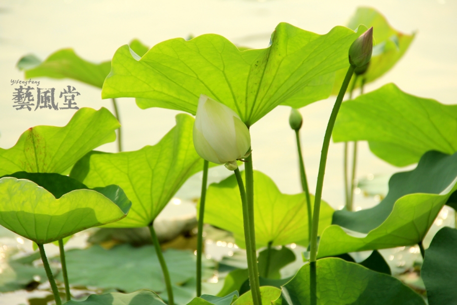 照片 123.jpg