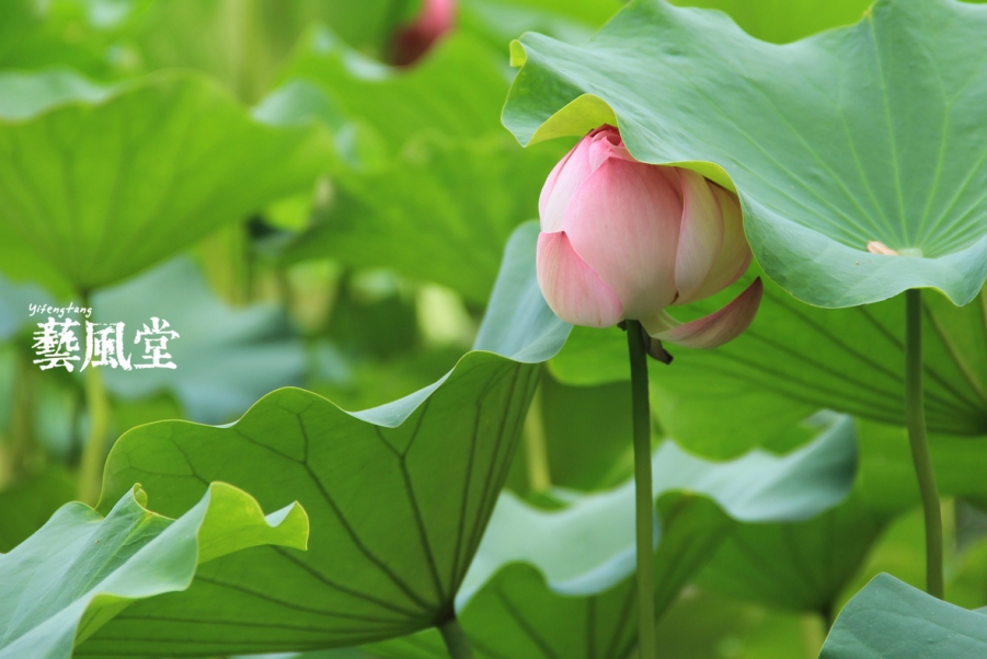 照片 014.jpg