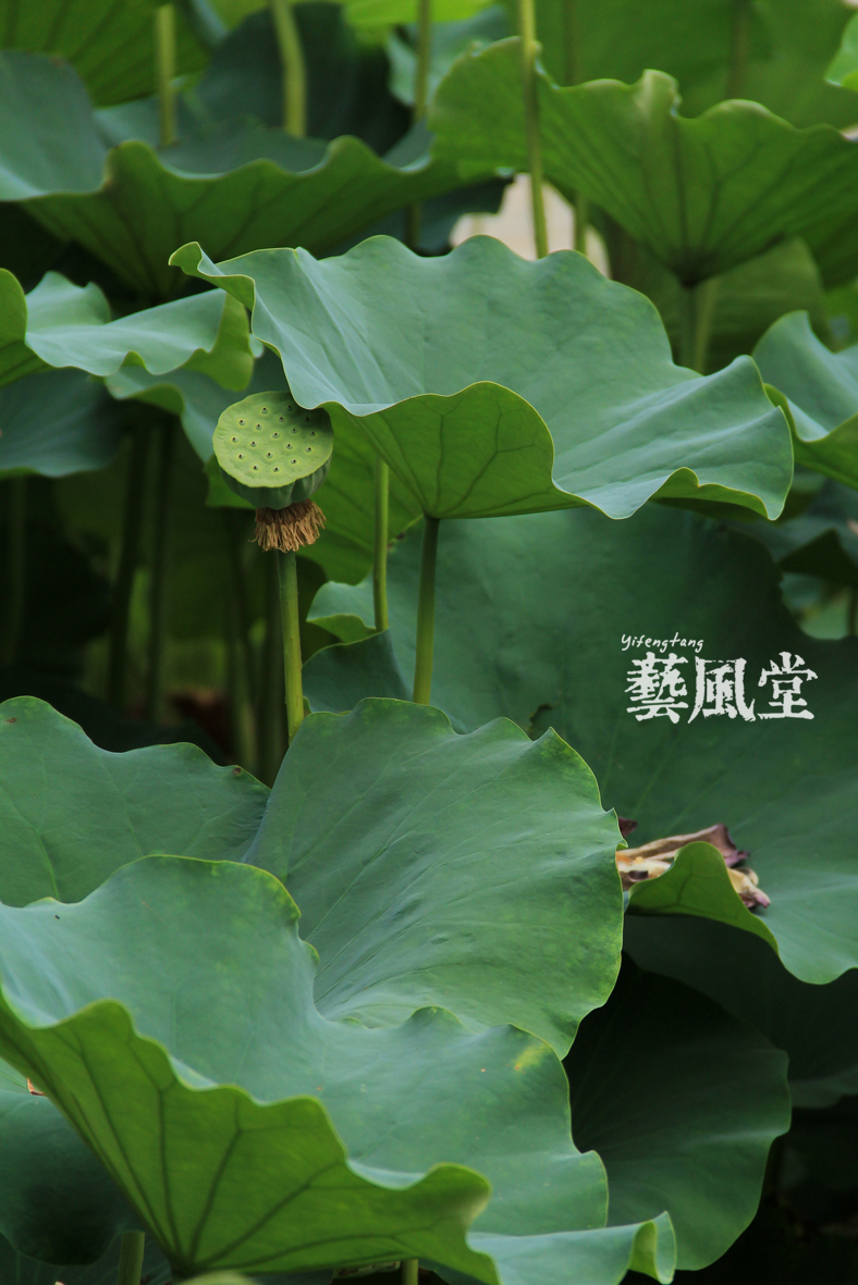照片 026.jpg