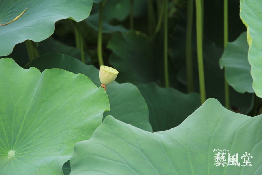 照片 034.jpg